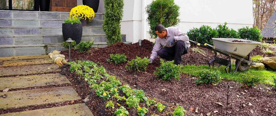 DalaCasa worker installing fresh mulch in a flower bed in Lake Norman, NC.