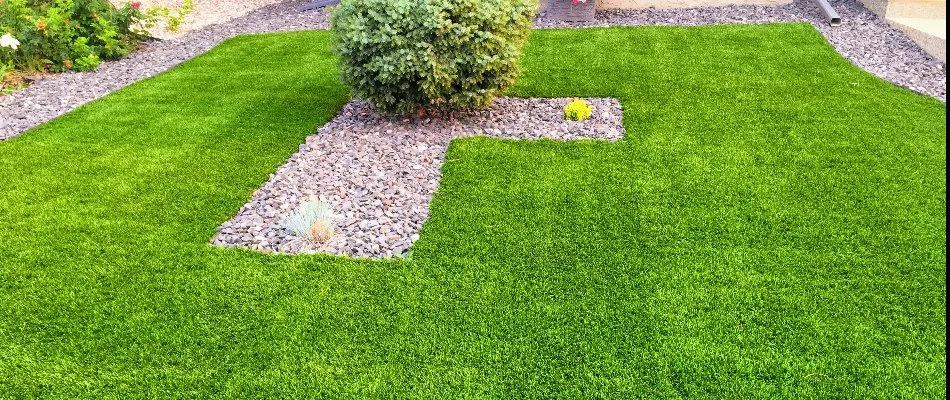 Artificial turf in Charlotte, NC.