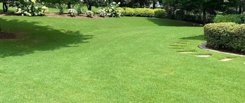 Manicured lawn on a property in India Hook, SC.