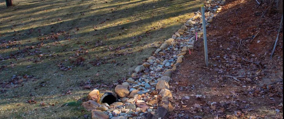 Drainage system on a lawn in Charlotte, NC.