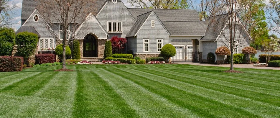 Front lawn in Lake Wylie, SC, with lush grass and a house.