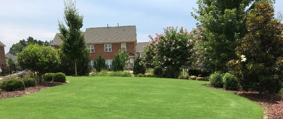 Backyard with healthy, green lawn in Rock Hill, SC.