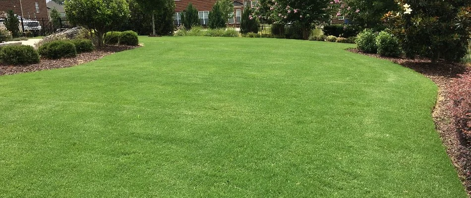 Healthy, green lawn in Allen, NC, surrounded by landscaping.