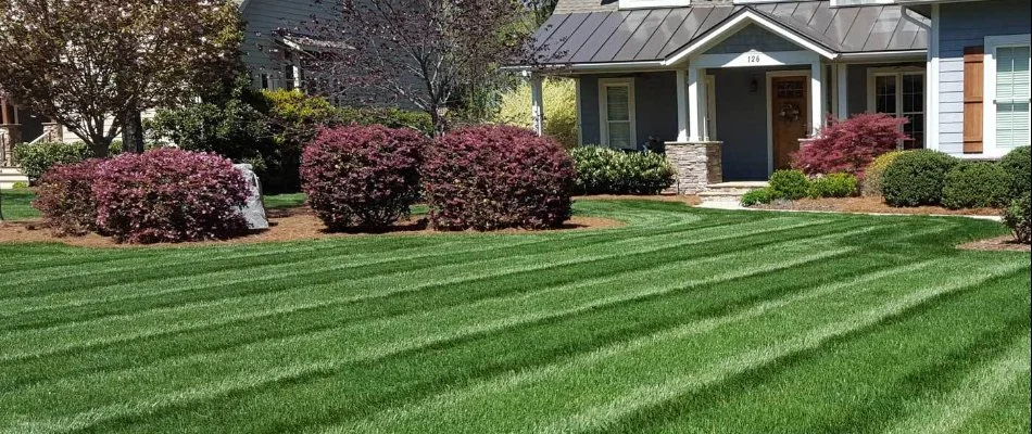 A home in Indian Land, NC with green grass and shrubs.