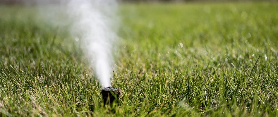 Irrigation winterization.