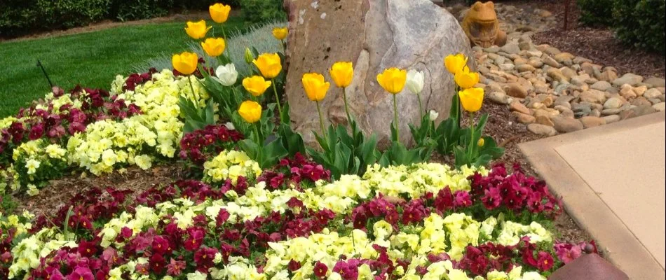 A landscape bed filled with colorful flowers and rocks in Indian Land, NC.