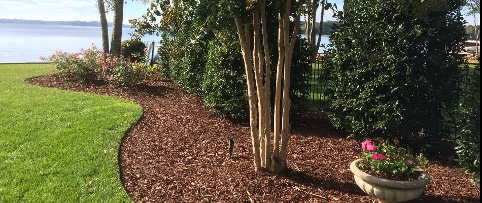 An enhanced landscape in Charlotte, NC.