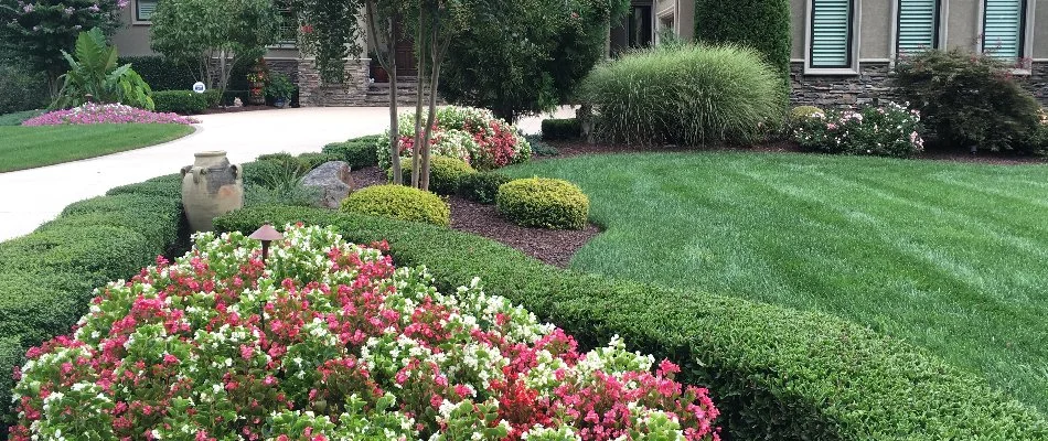 Landscape in Marvin, NC, with shrubs and flowers beside a lawn.