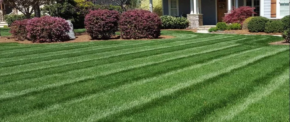 Lawn freshly mowed in front of home in Rock Hill, SC.