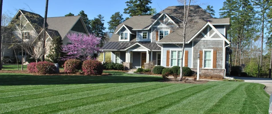 Lawn that was just mowed in Kannapolis, NC.