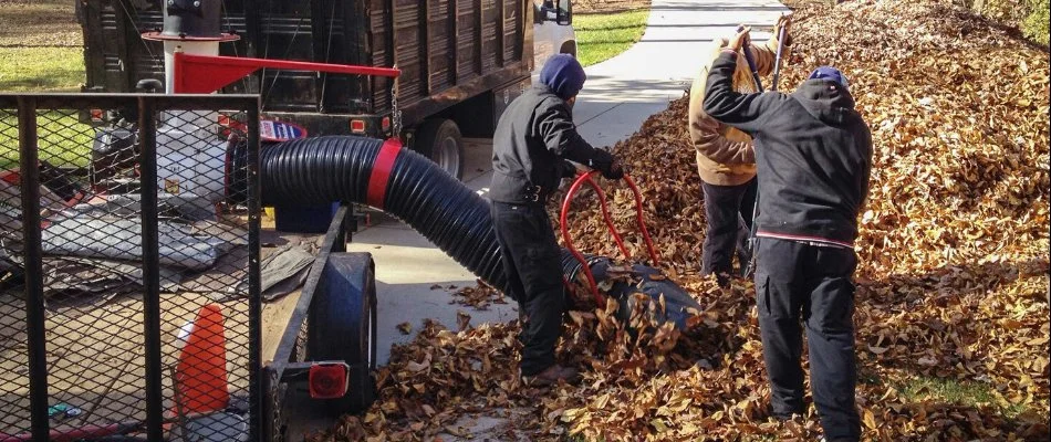 Workers cleaning up leaves in Lake Norman, NC.