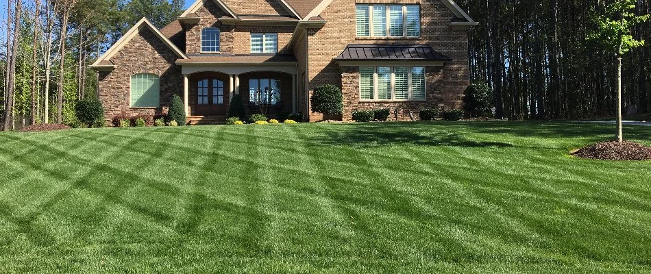 Lush lawn with striping in Landis, NC, and a brown house.