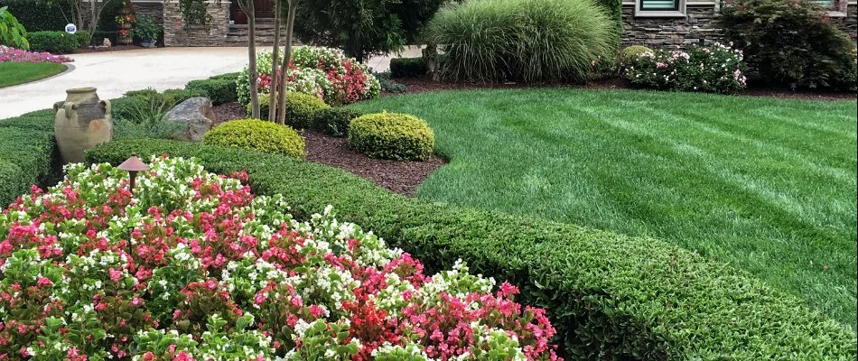 Manicured lawn and landscape at home in Mooresville, NC.