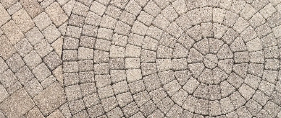 Close-up view of pavers installed in a circular pattern, showcasing their intricate design and precise arrangement in Charlotte, NC.