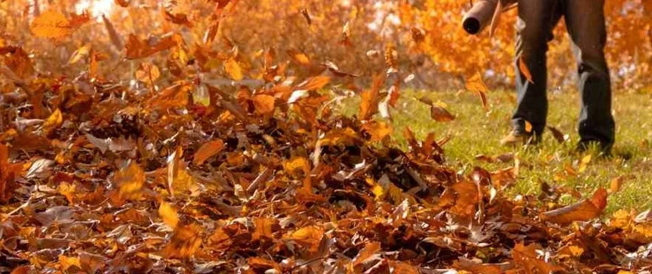 Crew blowing leaves from a lawn in Mint Hill, NC.