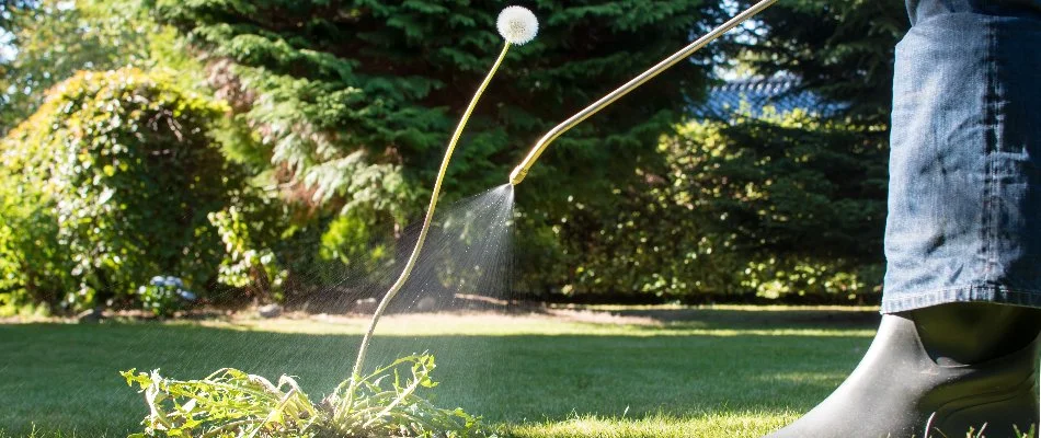 Person in Lake Norman, NC, spraying weed control. 