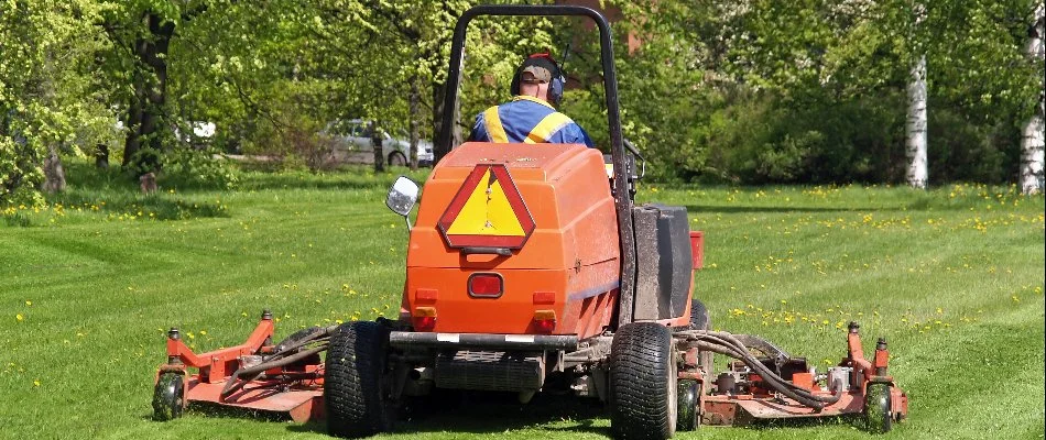 Person performing a bush hogging service.