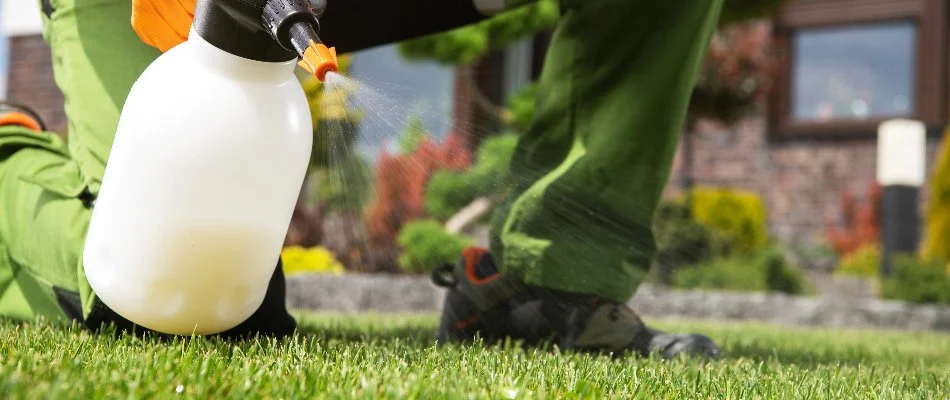 Person applying a weed control treatment to a lawn in Charlotte, NC.