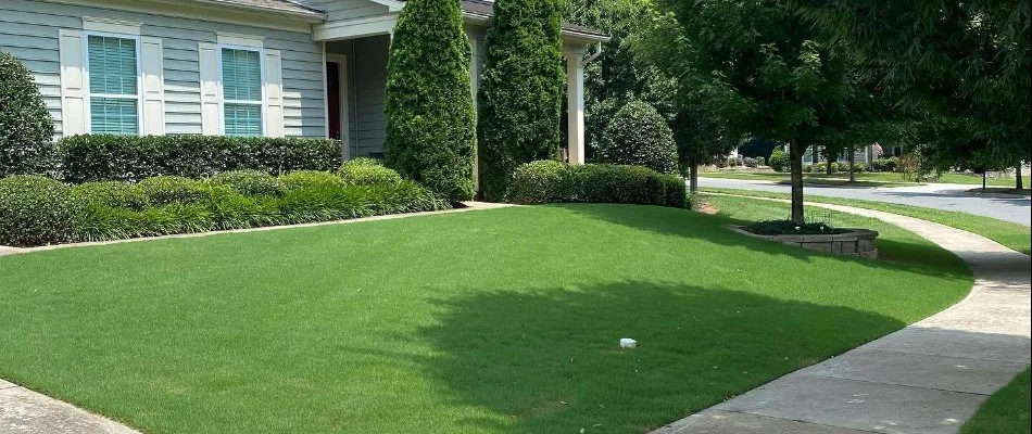 Residential lawn with manicured grass in Hemby Bridge, NC.