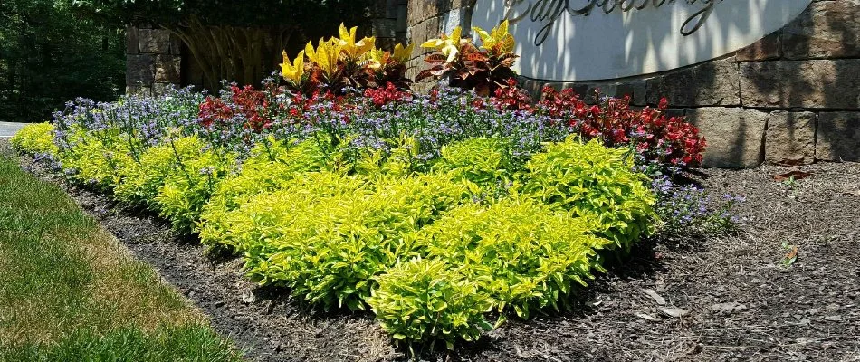 New landscape installation for Kannapolis, NC, property.