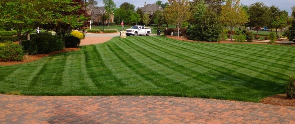 Thick, green front lawn and trees in Newell, NC.