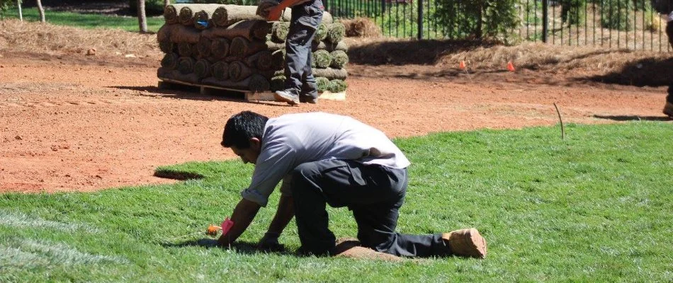 Worker installing sod on a property in India Hook, SC.