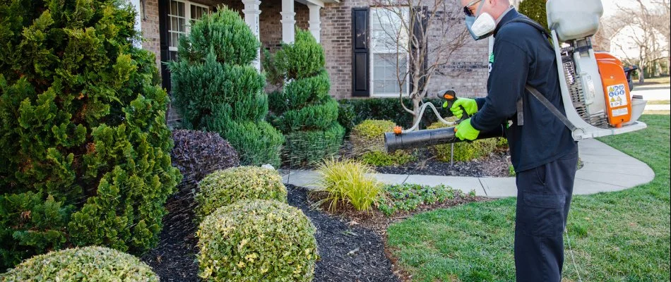 Worker applying a disease control treatment to plants in Lake Norman, NC.