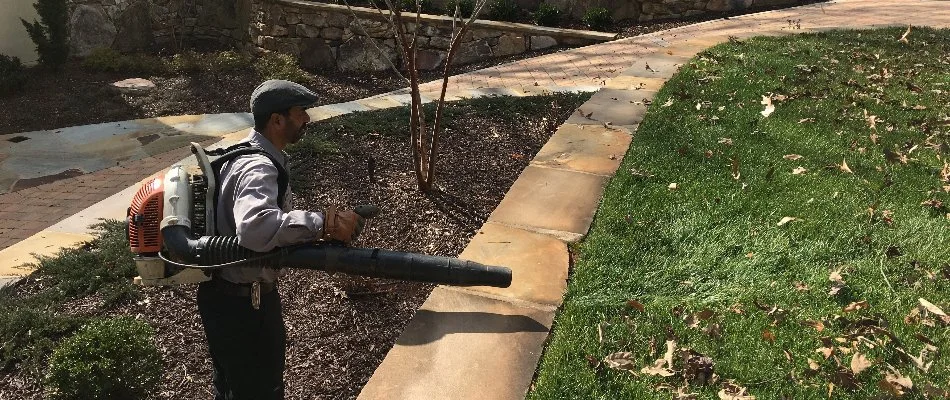 Worker blowing leaves off a lawn in Landis, NC.