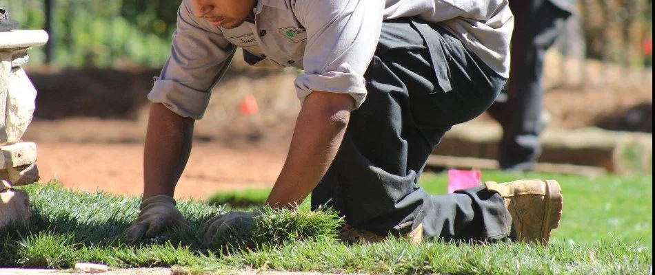 A worker in Charlotte, NC, meticulously installing sod.