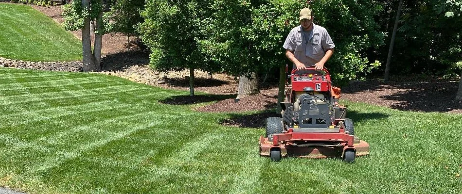 Worker mowing a lawn in Hemby Bridge, NC.