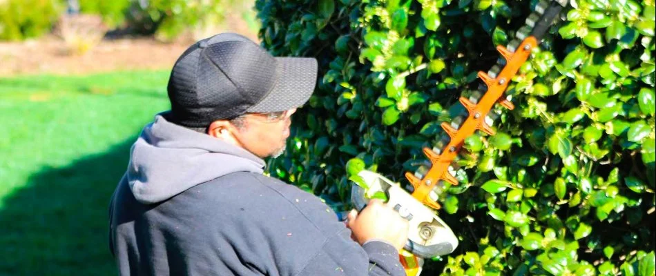 Worker in Lake Norman, NC, trimming a shrub.